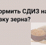 С 1 марта 2026 года введены новые правила оформления СДИЗ. - Тахтамукайский район