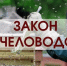 Вступили в силу изменения в законы о пчеловодстве и об обращении пестицидов. - Тахтамукайский район